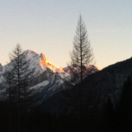 Appartamento Ivo Campitello di Fassa Exterior foto