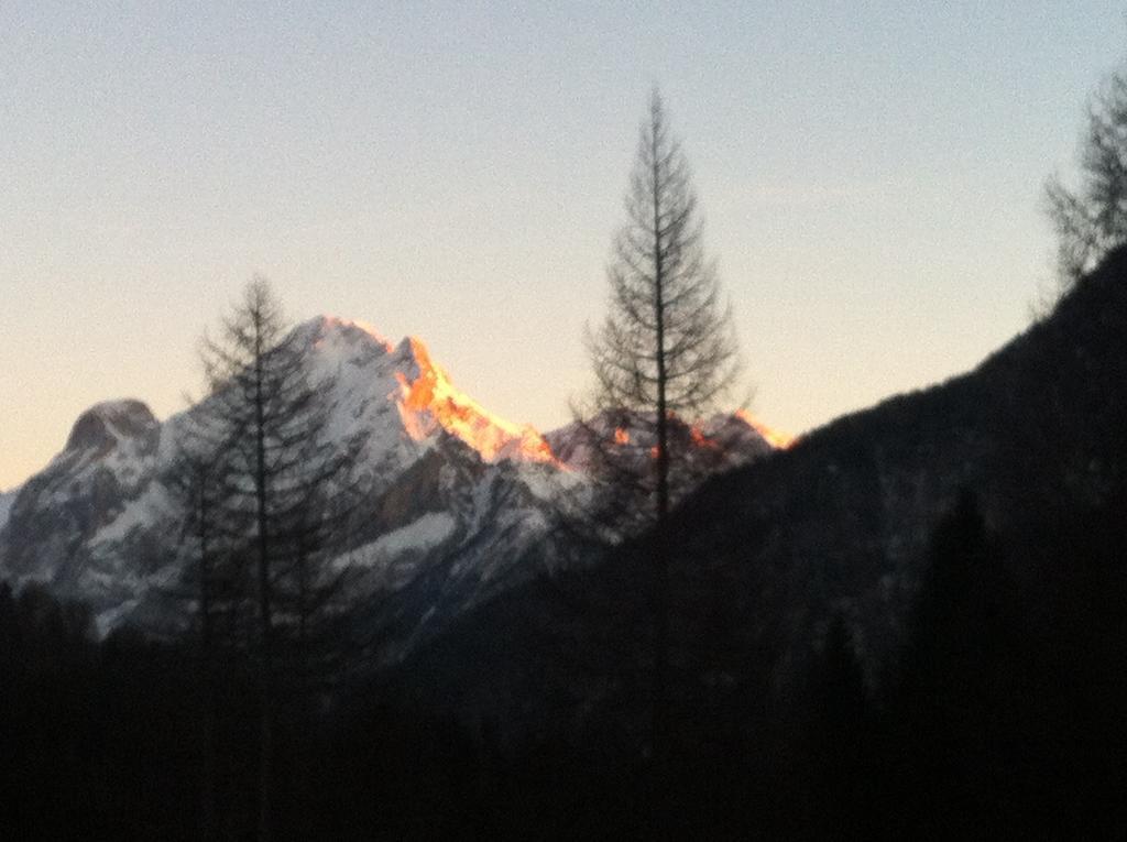 Appartamento Ivo Campitello di Fassa Exterior foto